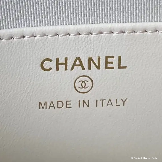 HyperPeter HANDLE BAG CHANEL 0513
